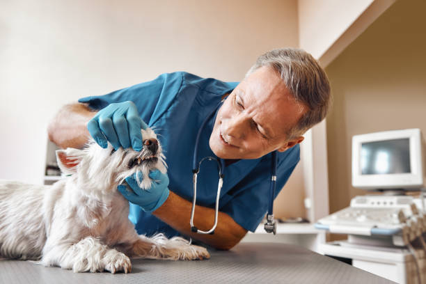 Best Emergency Treatment for Dental Infections or Abscesses in Hahira, GA